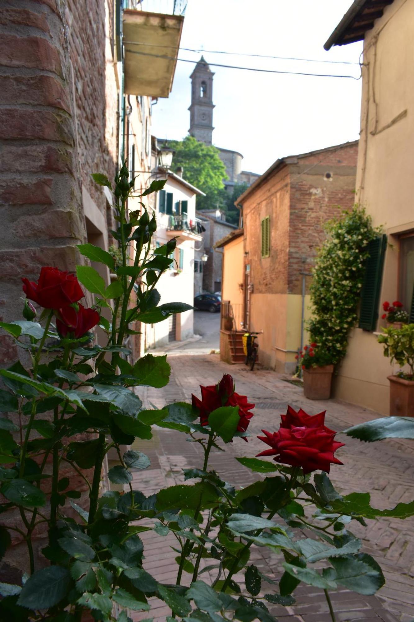 Ciliano 16 Lägenhet Montepulciano Stazione Exteriör bild